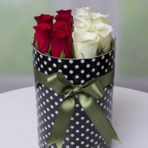 Aşkım Seninle