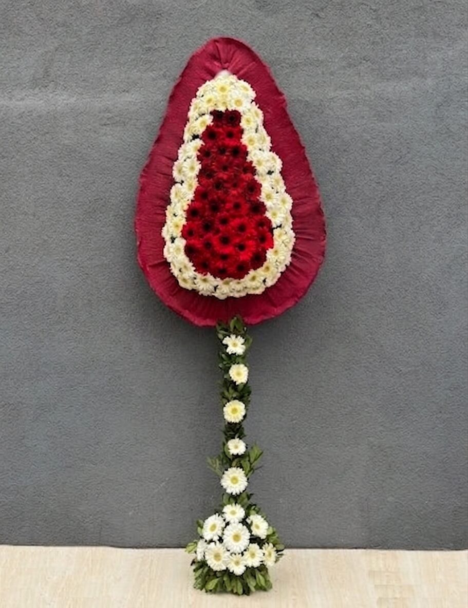 Kırmızı Beyaz Gerbera Mutluluklar